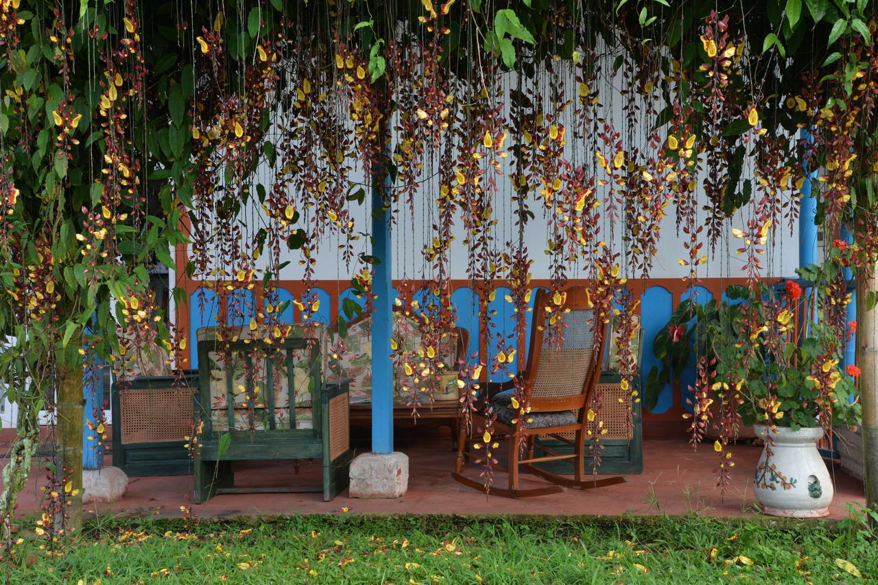 Balsora Hotel Boutique La Tebaida Bagian luar foto